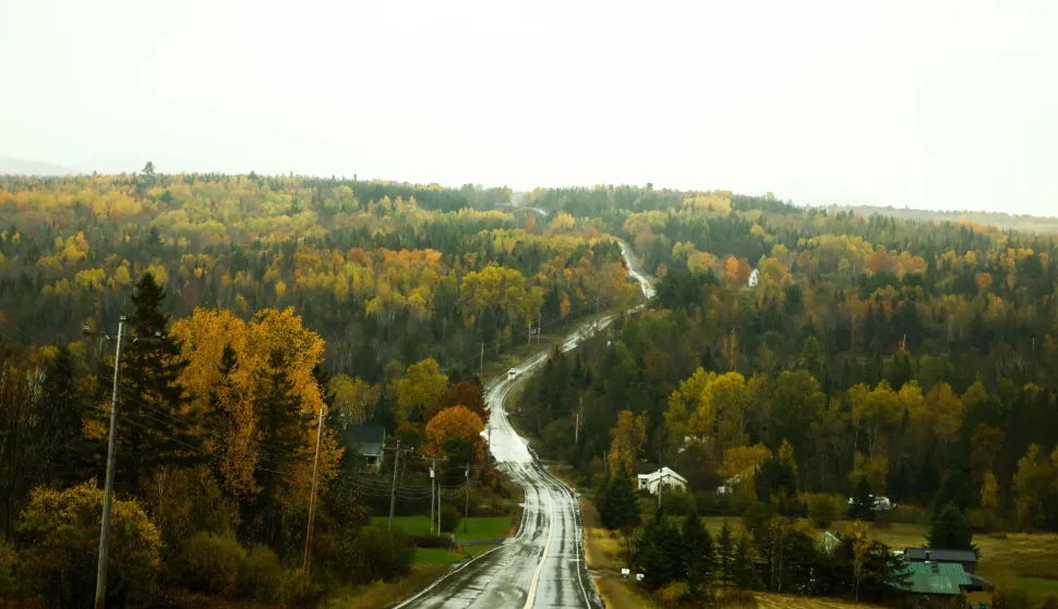 Fall foliage is seen in Patten, Maine, on October 13, 2026. (Photo by CHARLY TRIBALLEAU/AFP)