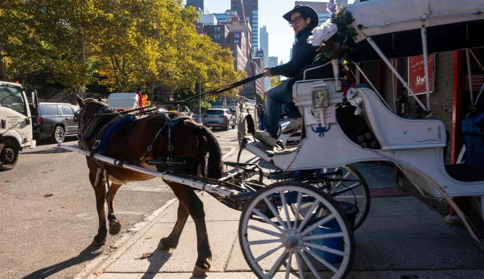 NEW YORK, NEW YORK - OCTOBER 19: A carriage horse driver, one of dozens of workers who could lose their job if carriage horses are banned, rides towards Central Park outside of the Clinton Park Stables on October 19, 2026 in New York City. After decades of activist efforts to ban the popular tourist attraction, New York City Mayor Zohran Mamdani and New York City Council Speaker Julie Menin have reached a deal to abolish the city?s horse carriage industry. The new drive to ban the industry is based on humanitarian and safety concerns and gained increased support this summer after a tourist from India was killed while riding with his family on a carriage horse. A full City Council vote on the measure is scheduled for Oct. 22. Spencer Platt/Getty Images/AFP (Photo by SPENCER PLATT/GETTY IMAGES NORTH AMERICA/Getty Images via AFP)