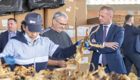 Proizvodnja duhana