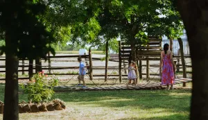 Suncokret ruralnog turizma Hrvatske