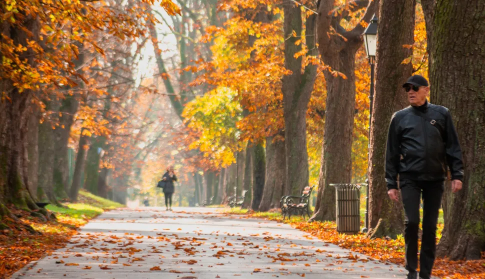 OSIJEK- 26.10.2022., Perivoj kralja Tomislava po mnogim Osječanima slovi za jedan od najljep&scaron;ih parkova u jesen, gdje prolaznici uživaju u &scaron;arenilu boja, slobodnjak.Foto: Andrea Ilakovac