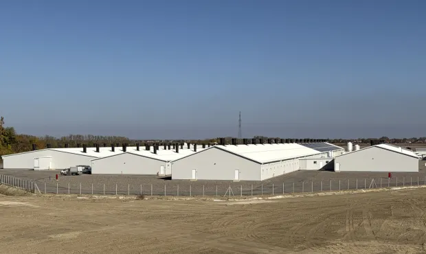 Žito grupa dovr&scaron;ila je drugu fazu izgradnje svinjogojske farme Orlovnjak u okolici Osijeka. Riječ je o investiciji vrijednoj približno osam milijuna eura, a koja je u cijelosti financirana vlastitim sredstvima Žito grupe prikupljenima kroz IPO.