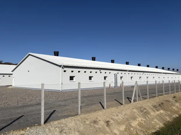 Žito grupa dovr&scaron;ila je drugu fazu izgradnje svinjogojske farme Orlovnjak u okolici Osijeka. Riječ je o investiciji vrijednoj približno osam milijuna eura, a koja je u cijelosti financirana vlastitim sredstvima Žito grupe prikupljenima kroz IPO.